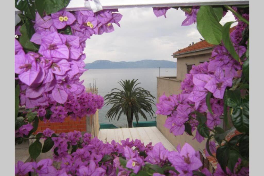 Apartman Graciela Perfect Location Gradac Gradac  Exteriör bild