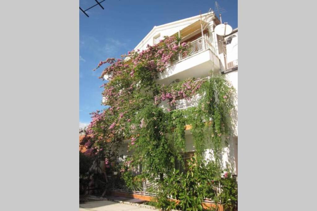 Apartman Graciela Perfect Location Gradac Gradac  Exteriör bild