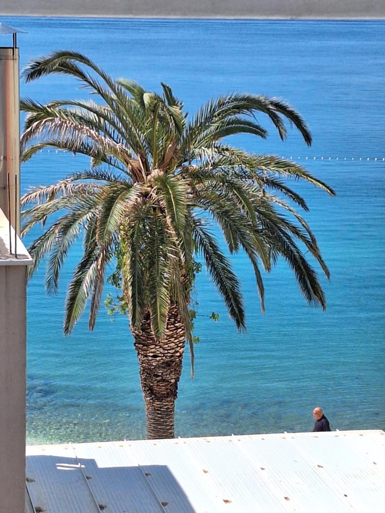Apartman Graciela Perfect Location Gradac Gradac  Exteriör bild